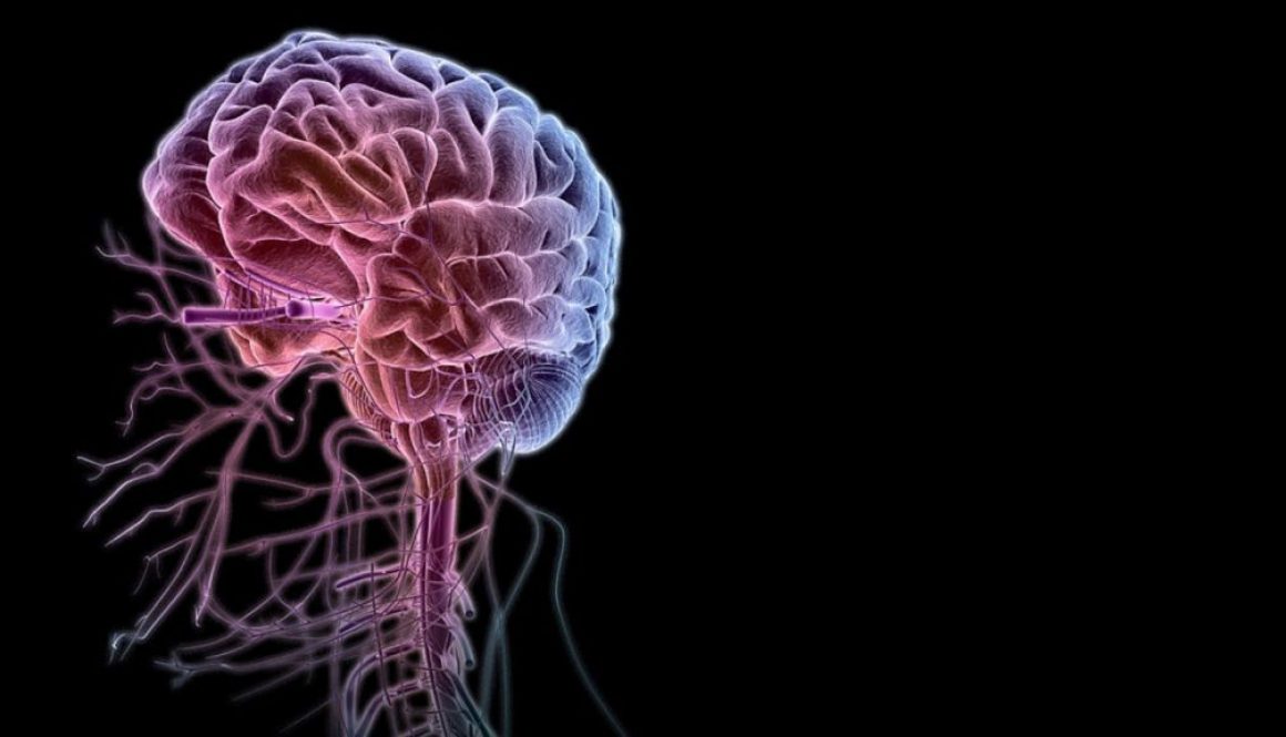 nervos-cerebro-brain-alteracoes-neurologicas-cirurgia-plastica-fabiana-catherino-silicone-doenca-sindrome-asia nervos-cerebro-brain-alteracoes-neurologicas-cirurgia-plastica-fabiana-catherino-silicone-doenca-sindrome-asia